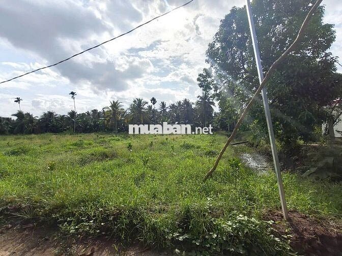 🌳Bán đất vườn16.000m² nhà 3PN–sát cầu Rạch Miễu 2 (800m) mới thông xe