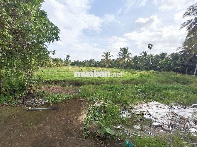 🌳Bán đất vườn16.000m² nhà 3PN–sát cầu Rạch Miễu 2 (800m) mới thông xe