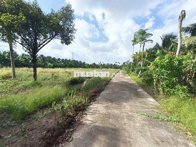 🌳Bán đất vườn16.000m² nhà 3PN–sát cầu Rạch Miễu 2 (800m) mới thông xe