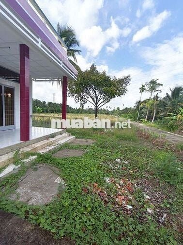 🌳Bán đất vườn16.000m² nhà 3PN–sát cầu Rạch Miễu 2 (800m) mới thông xe