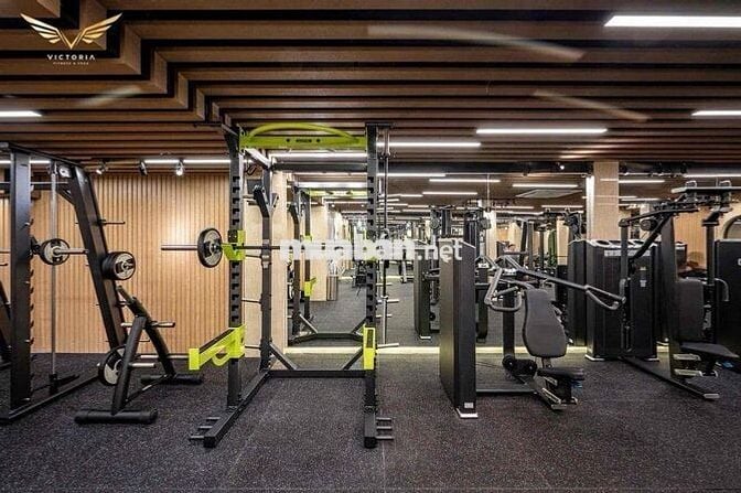 Miễn Phí Gym Yoga Cho Phòng 35m2 Thang Máy Hầm Xe Lớn Nơ Trang Long