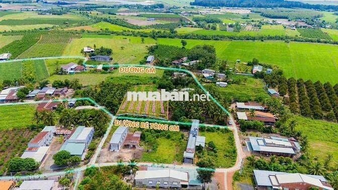 Đất Nền Khu Dân Cư Tại DMC Tây Ninh