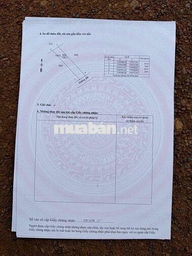 Đất Nền Full Thổ Cư Tại DMC Tây Ninh