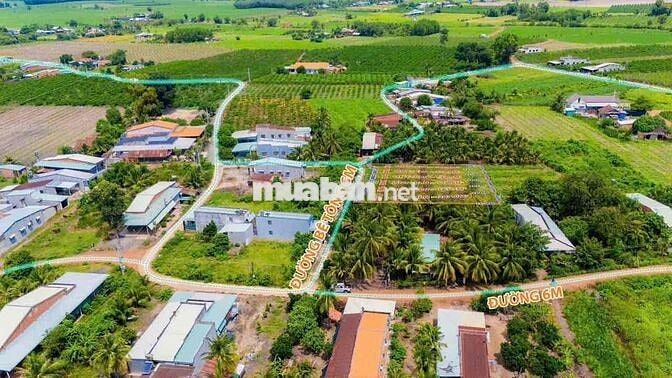 Đất Nền Khu Dân Cư Tại DMC Tây Ninh