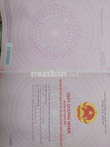 Công ty đấu giá hợp danh Sao Việt – đang đấu giá tài sản