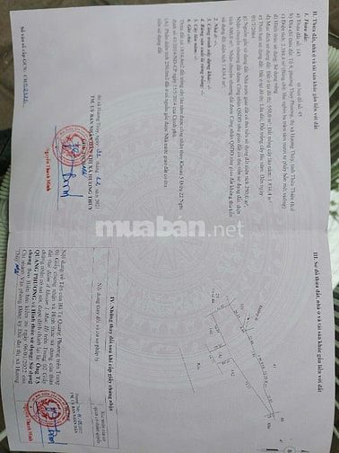 Công ty đấu giá hợp danh Sao Việt – đang đấu giá tài sản