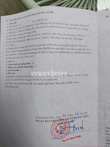 Công ty đấu giá hợp danh Sao Việt – đang đấu giá tài sản