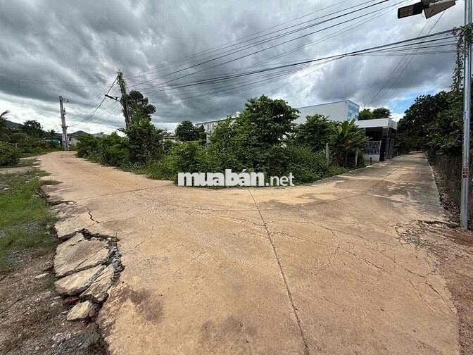 Đất Nền Khu Dân Cư Tại DMC Tây Ninh