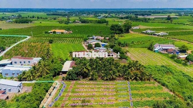 Đất Nền Khu Dân Cư Tại DMC Tây Ninh