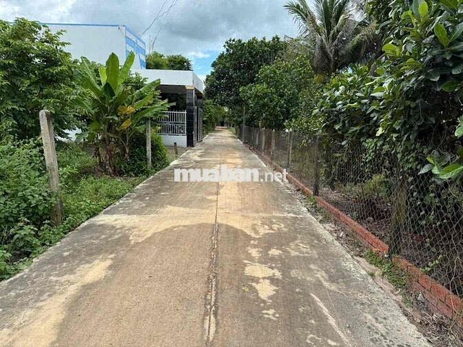 Đất Nền Khu Dân Cư Tại DMC Tây Ninh