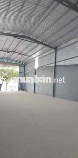 Kho ở Tôn Thất Thuyết cần cho thuê gấp diện tích 300m2 có pccc