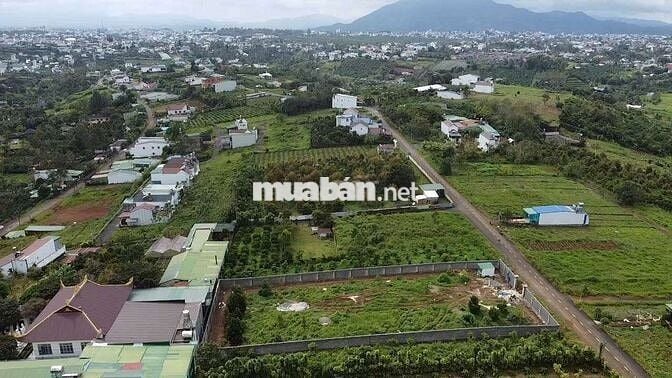 SIÊU PHẨM CHÂN DÀI SẴN THỔ CƯ NGAY TRUNG TÂM PHƯỜNG 2