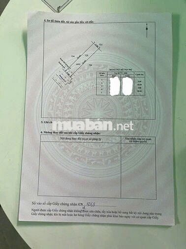 CHÍNH CHỦ BÁN GẤP 700TRĐ LÔ ĐẤT ĐẸP 133M² Ở PHƯỚC VĨNH AN❗