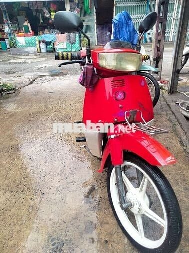 Max Neo 50 cc