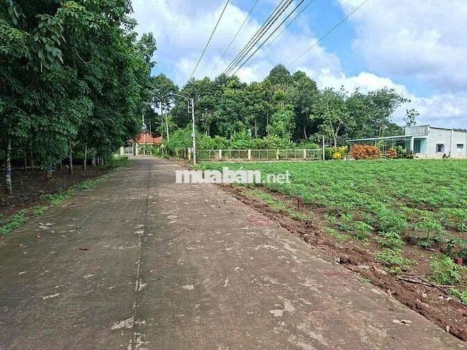 CẦN BÁN GẤP MIẾNG ĐẤT SÁT BÊN TRƯỜNG HỌC Ở AN LINH PHÚ GIÁO