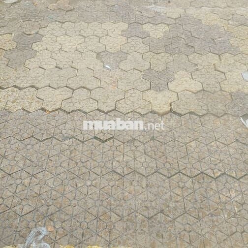 Chia mặt bằng kinh doanh từ sáng đến 4h chiều