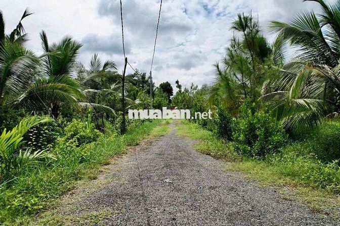 Chủ ngợp cần bán lô đất vườn để định cư nước ngoài Tại Định Quán