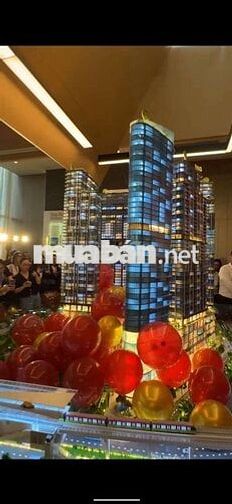 Sun Feliza Suites Cầu Giấy 2N, căn góc, quỹ căn đa dạng 1N, 2N,3N,4N