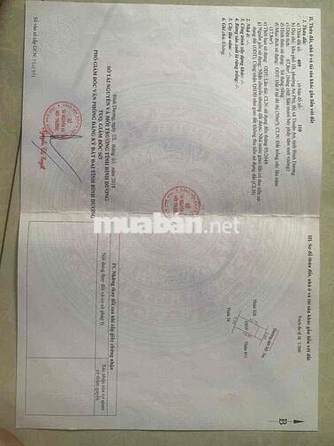 Nhà mái thái hiếm hoi tại khu nhà ở đường an phú 20, diện tích 68m2