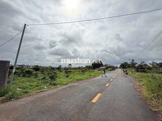 Mặt tiền Nguyễn Trãi view đẹp nhất Bảo Lộc.