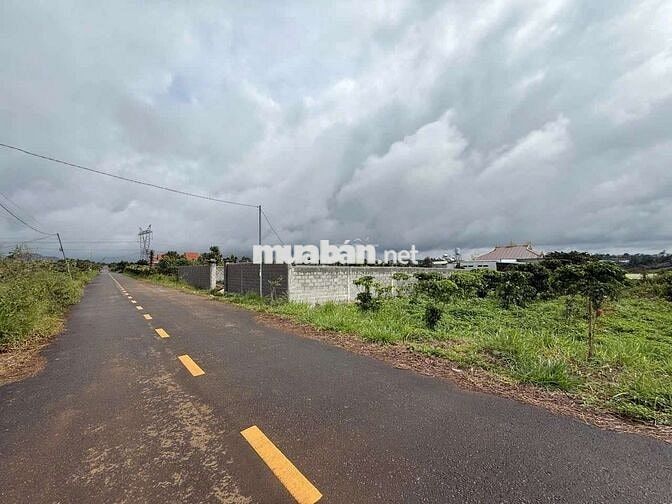 Mặt tiền Nguyễn Trãi view đẹp nhất Bảo Lộc.