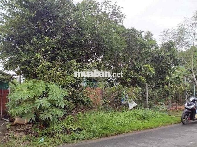 cần bán đất gấp cần chốt nhanh ạ.