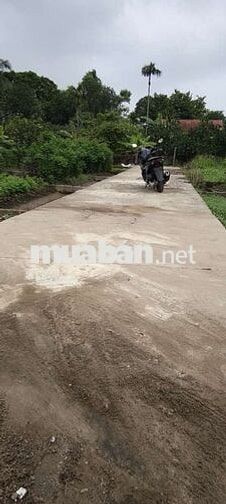 💥 GIÁ RẺ 🚘 Ô TÔ ĐỖ CỬA 👉 CHƯƠNG LỘC - CHƯƠNG DƯƠNG - THƯỜNG TÍN - H