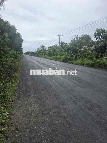 Bán đất chính chủ 28.963m2 thị trấn Mỹ Phước, Tân Phước, Tiền Giang