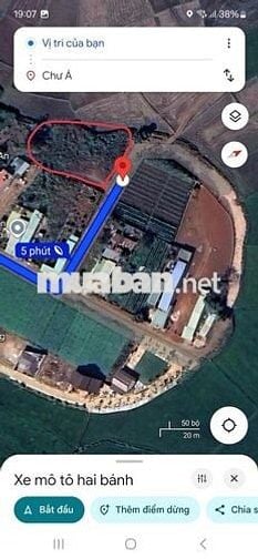 Đất sổ đỏ gần 1300m2 thổ cư Ngay Thành phố