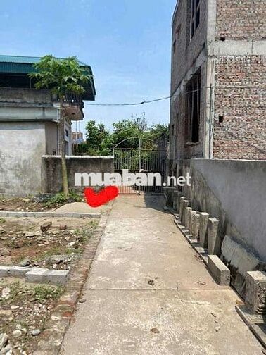 🍓 ĐẤT ĐẸP Phom tiền 👉 Hồng Vân - Thường Tín Hà Nội 
🥦 Diện tích: 60