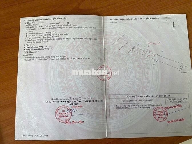 CẦN BÁN LỖ LÔ ĐẤT MẶT TIỀN HỒ CHÍ MINH