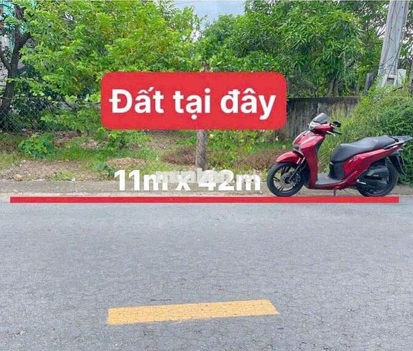 Đất thổ dt 462m giá 5tỷ mặt tiền nhựa long bình, long hiệp, bến lức.