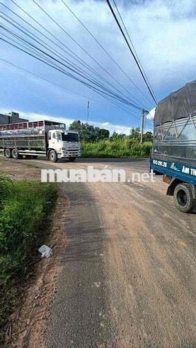 Đất 2 mặt tiền QL13 và DH611 Diện tích 1.793m2. Làm gì cũng được