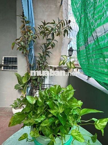 Phòng Ban Công xanh mát, Thật 100%. Tại Ngả 4 Hàng Xanh, 277 XVNT, F15