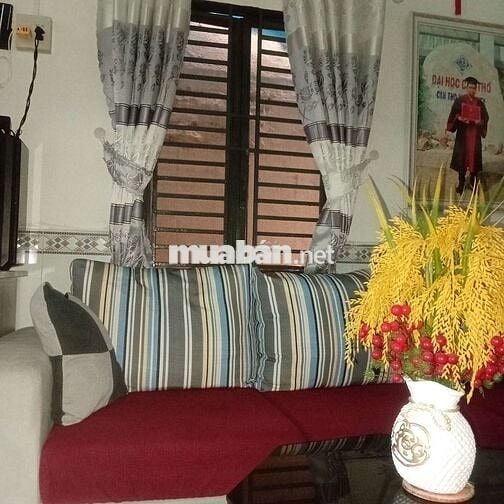 Bán nhà trục chính, nhà đã hoàn công, hẻm 3m thẳng và thông, nhà đẹp