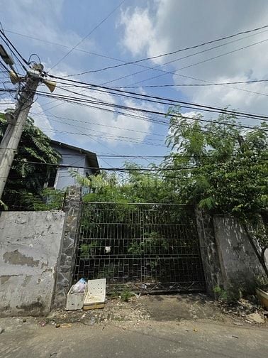 🏡 BÁN ĐẤT MẶT TIỀN ĐẸP - VỊ TRÍ VÀNG TRÊN ĐƯỜNG NGUYỄN DUY TRINH, QUẬ