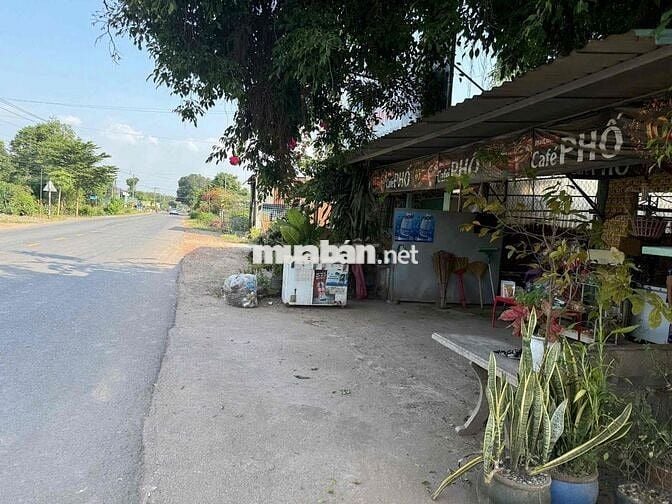 Cần bán gấp lô đất ngay mặt tiền đường nhựa lớn giá rẻ