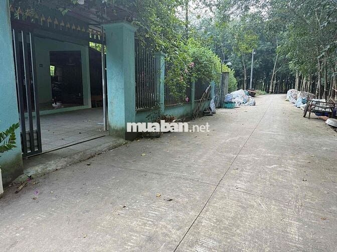 Cần bán gấp lô đất ngay mặt tiền đường nhựa lớn giá rẻ