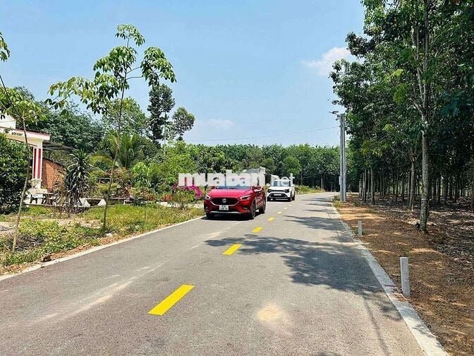 Đất Tân Hiệp sát DH507 và tạo lực, cách vành đai 6 vài phút giá 490tr