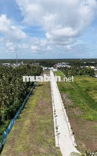 ĐẤT NỀN – KÊNH ĐẦU TƯ AN TOÀN NHẤT 2025 💸