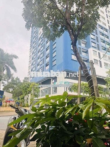 Cho thuê mặt bằng  ngay trung tâm Phường Chánh Nghĩa