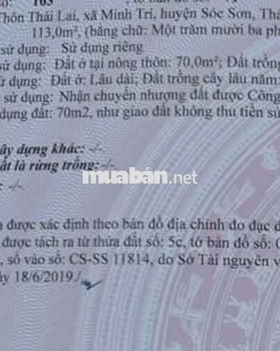 1, 1x tỷ - 113m Đất Sóc Sơn Kim Anh đã có sổ, cách TT xã 1.5km