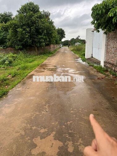 1, 1x tỷ - 113m Đất Sóc Sơn Kim Anh đã có sổ, cách TT xã 1.5km