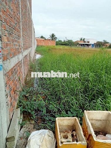 Đất thổ cư đường 826 xã Long trạch