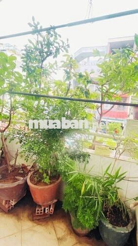 🏠 BÁN NHÀ NHẬT TẢO, P.4, Q.10 - 5 TẦNG MỚI, VỊ TRÍ VÀNG - 8.X TỶ.