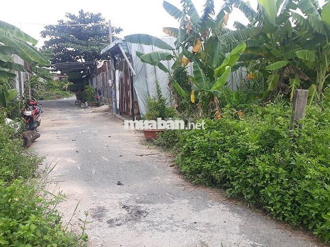 Bán đất LM - HXH (8m x 15m = 121 m2) xã Đông Thạnh Hóc môn cũ