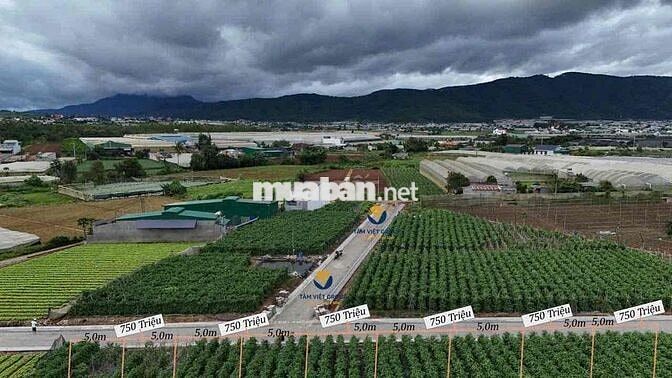 ĐẤT NỀN 2 MẶT TIỀN ĐẸP – GIÁ TỐT TẠI TRUNG TÂM ĐƠN DƯƠNG 🌿