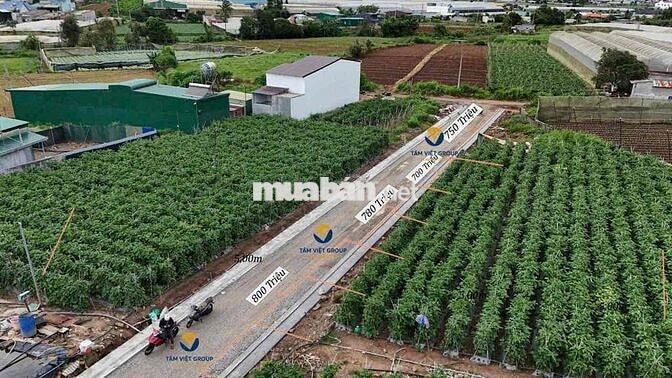 ĐẤT NỀN 2 MẶT TIỀN ĐẸP – GIÁ TỐT TẠI TRUNG TÂM ĐƠN DƯƠNG 🌿
