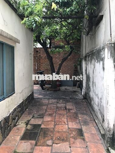 Phòng trọ đường Dương Bá Trạc, Quận 8