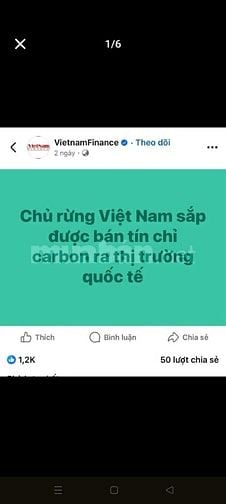 gần 3 hecta RSX, chính chủ, bám suối, CƠ HỘI VÀNG – ĐẦU TƯ RỪNG 